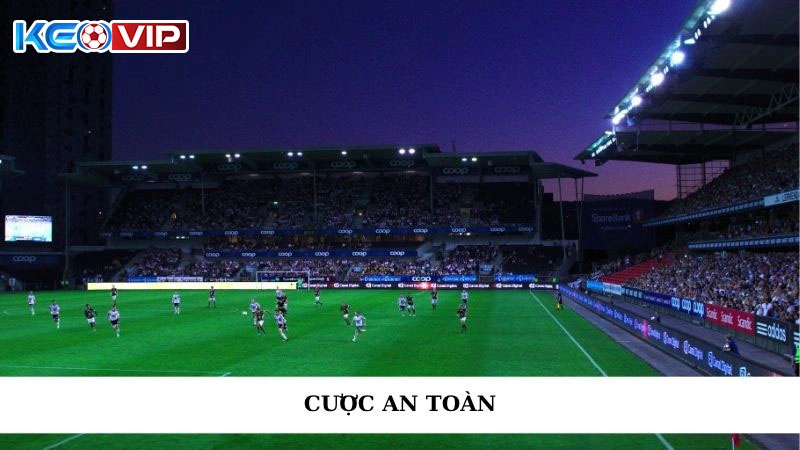 Cược An Toàn - Nâng tầm Cá Độ, Tối Ưu Lợi Nhuận