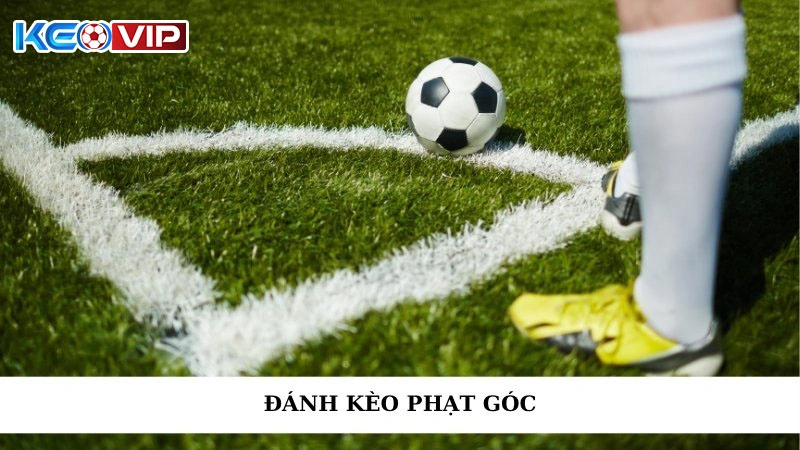 Đánh Kèo Phạt Góc - Bí Quyết Cá Độ Hiệu Quả Nhất