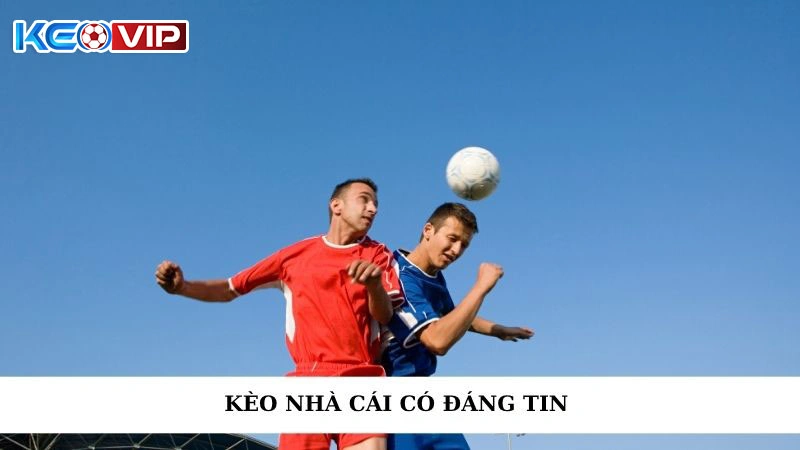 Kèo Nhà Cái Có Đáng Tin Không? Bí Mật Đằng Sau Tỷ Lệ