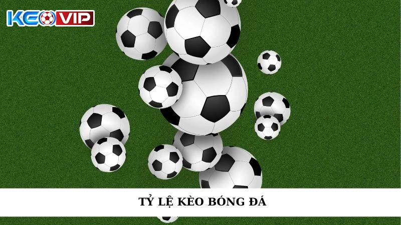 Tỷ Lệ Kèo Bóng Đá - Nhận Định Độc Quyền, Chốt Số Cực Chuẩn